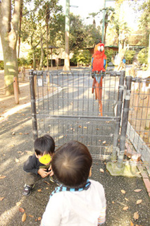 1130姫セン動物とり.jpg