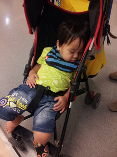 IKEAしゅん眠り.jpg