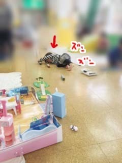 oyogu02.jpg