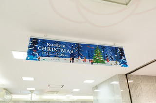 rosaviaxmas1.JPG