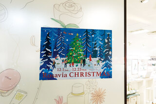 rosaviaxmas2.JPG