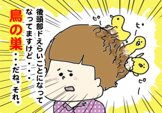 torinosu04.png